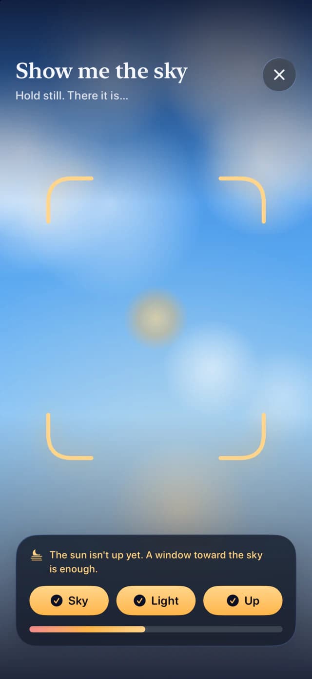 The sky check: the camera points at the sky and the Sky, Light and Up checks turn gold